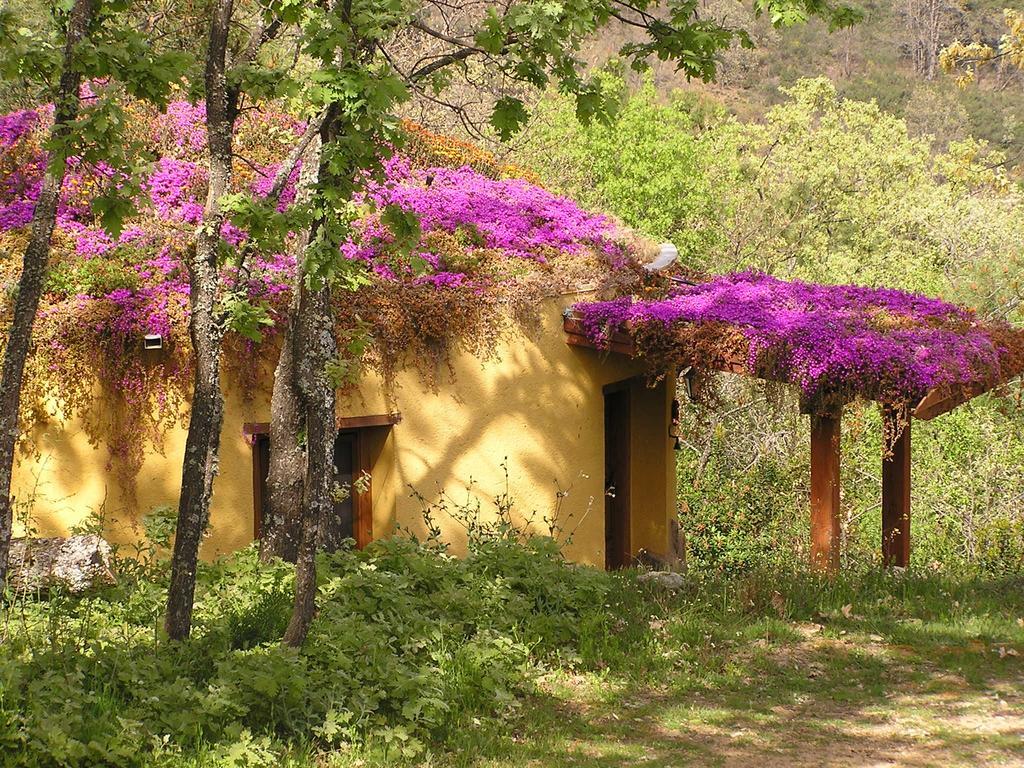 Apartamentos Rurales Ecopangea Valverde de la Vera Zimmer foto