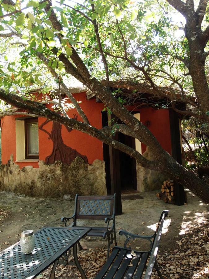 Apartamentos Rurales Ecopangea Valverde de la Vera Exterior foto